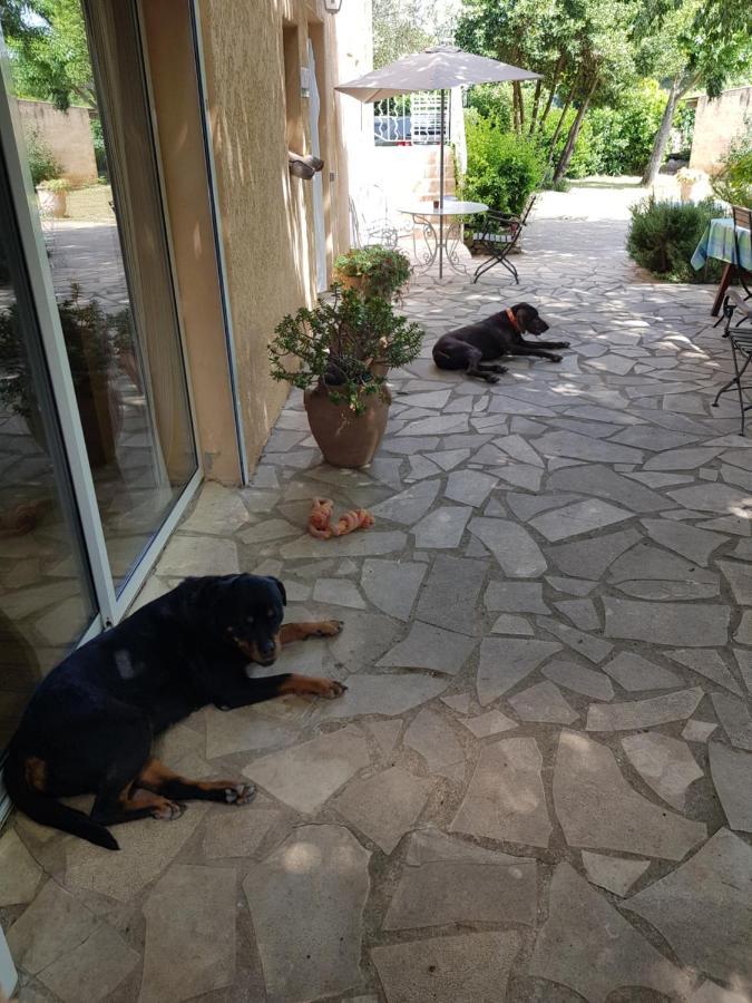 Cap Au Sud Sweet Home Nimes Exterior photo