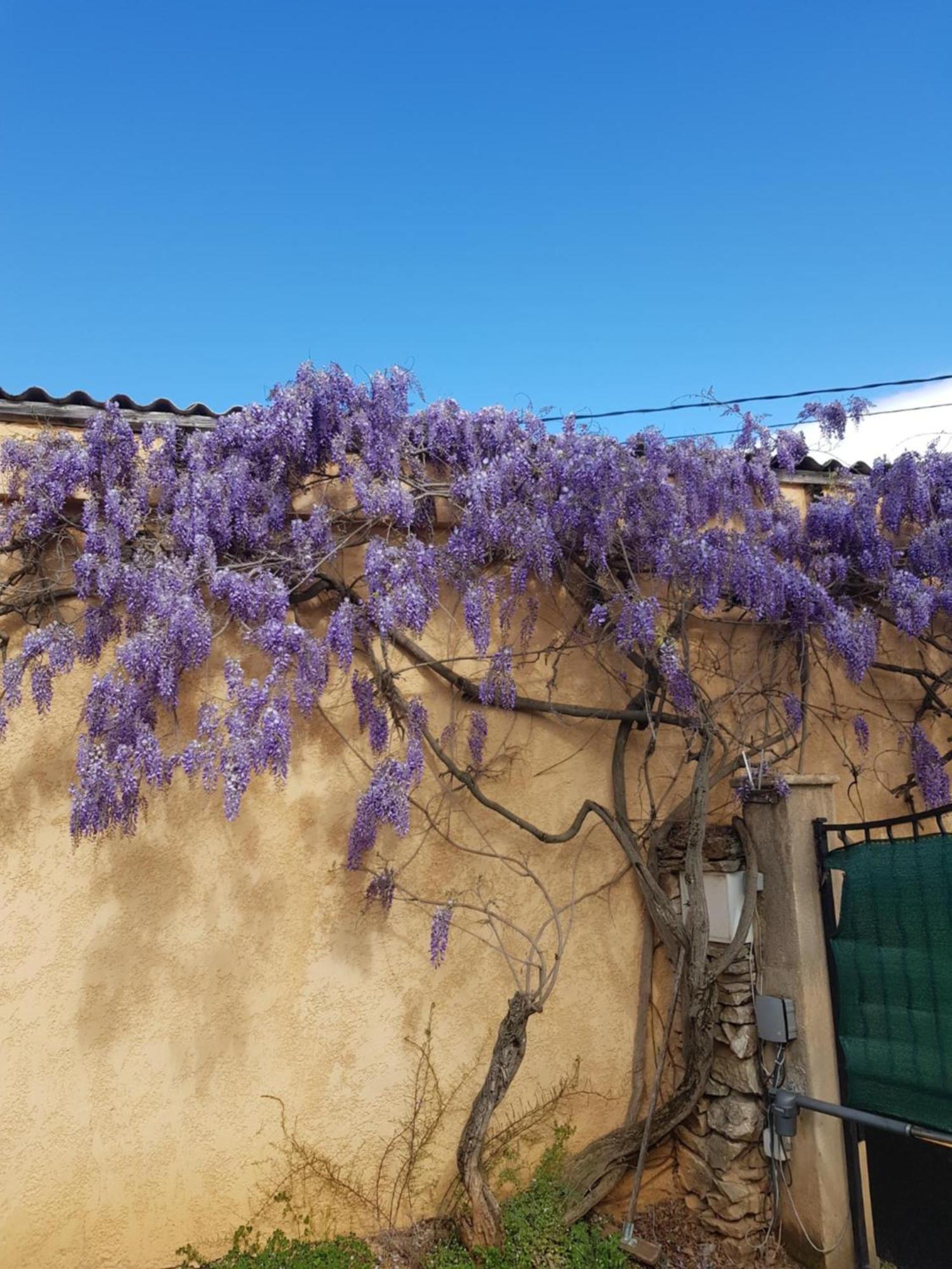 Cap Au Sud Sweet Home Nimes Exterior photo