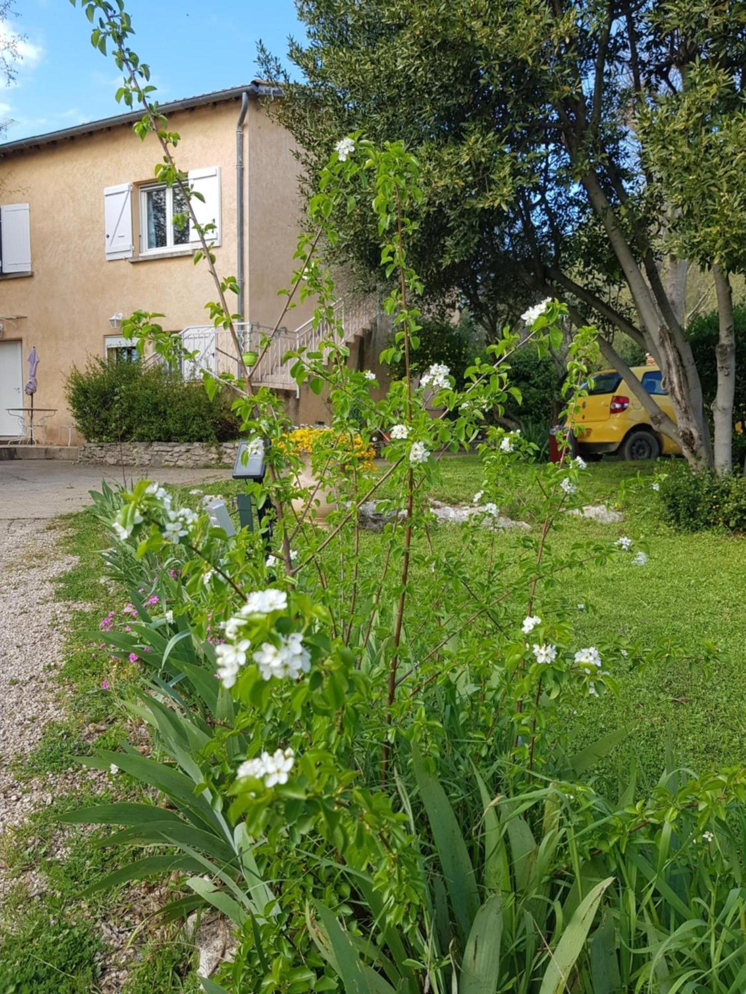 Cap Au Sud Sweet Home Nimes Exterior photo