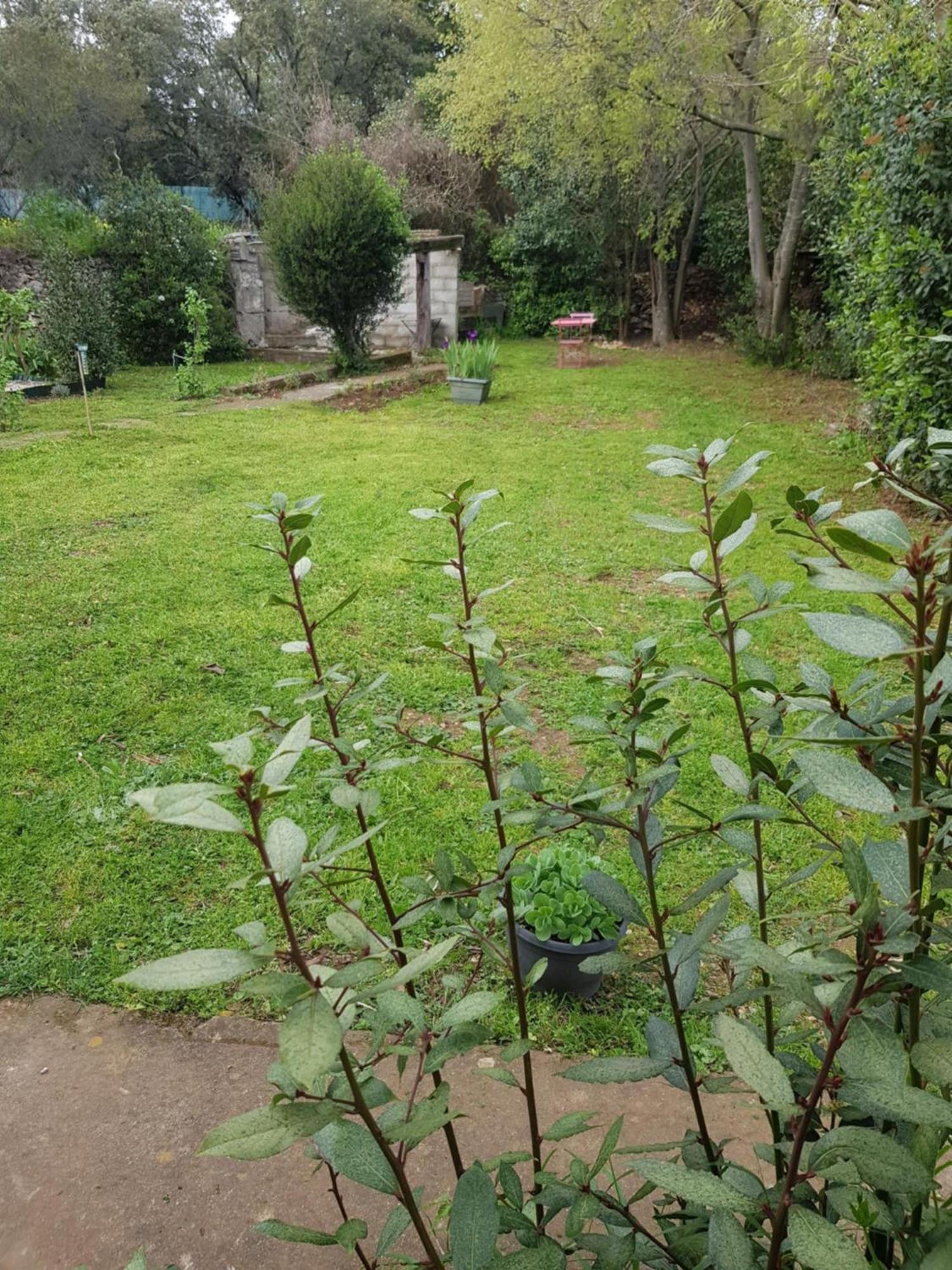 Cap Au Sud Sweet Home Nimes Exterior photo